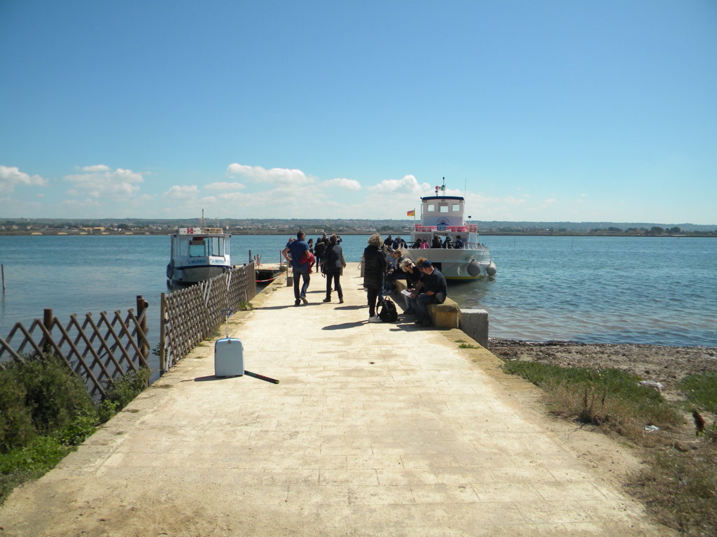 DSCN1887 (FILEminimizer).JPG